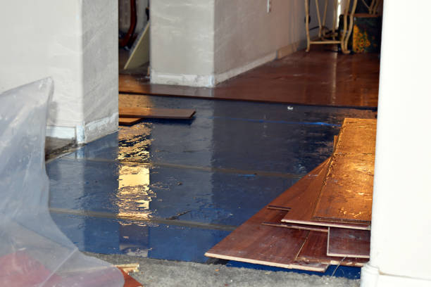 Professional Water Damage Restoration technician working in Mount Hope, AL
